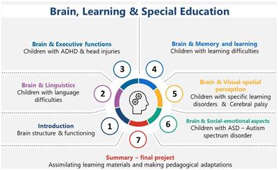 Implementing digital neuroscience in special-needs-teacher education: exploring student-teachers’ multifaceted learning outcomes related to teaching children with neurodevelopmental disorders